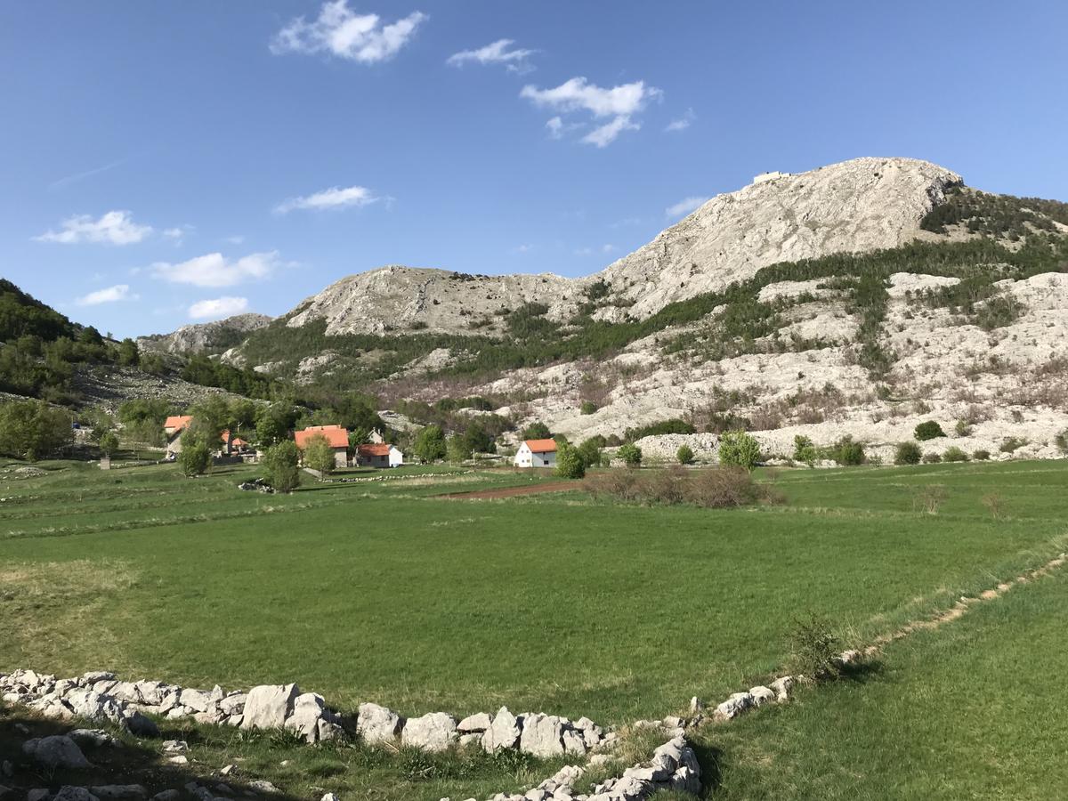 Lovcen Holiday Home Cetinje Eksteriør billede